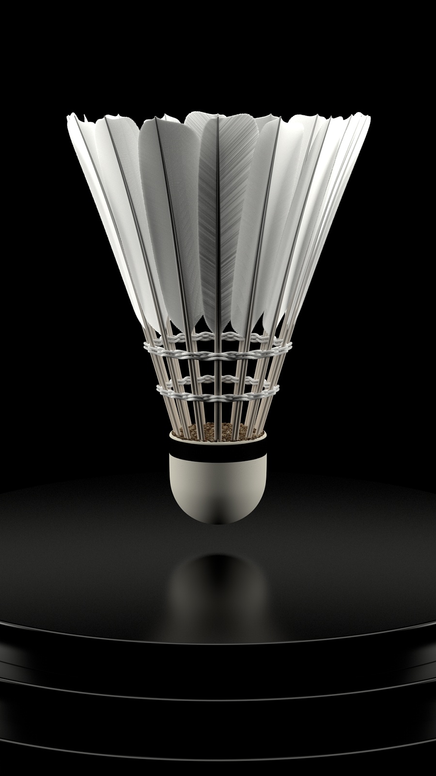 仅为球迷提 仅为球迷提